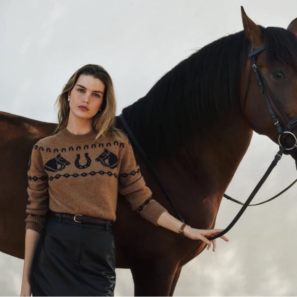 Reformation Alexandria Cashmere Horse Sweater in Navy/Brown